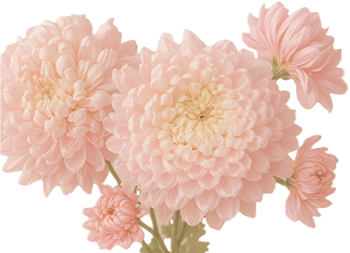 Decorative flowers